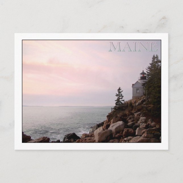 Bass Harbor Head Light, MAINE Postcard (Front)