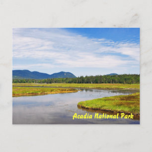 Bass Harbor Marsh Postcard