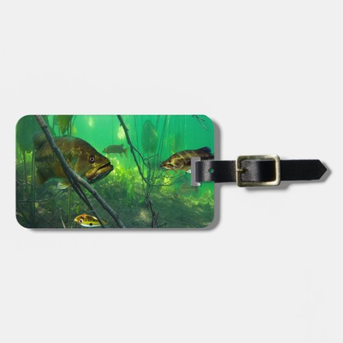 Bass Luggage Tag