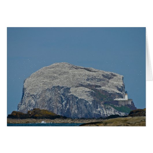 Bass Rock Cards (Front Horizontal)