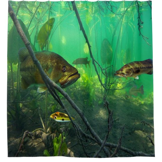 Bass Shower Curtain Zazzle Com