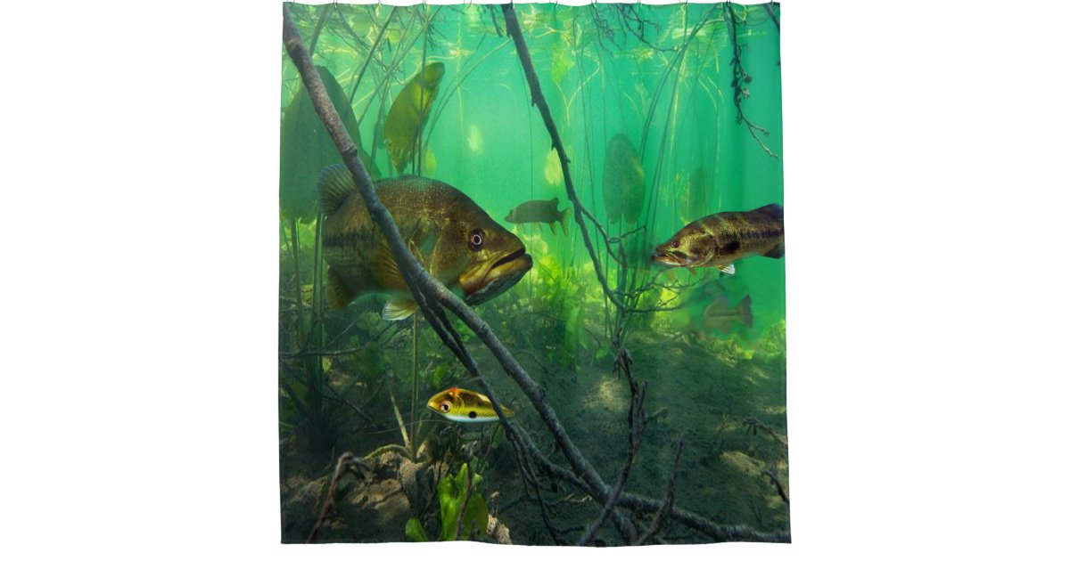 Bass Shower Curtain Zazzle