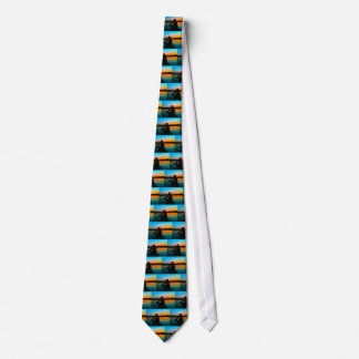 Bass Sunset Neck Tie