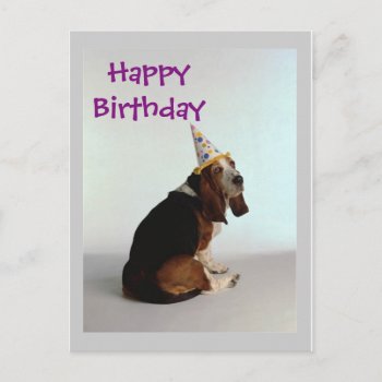 Basset Birthday Dog Postcard by stargiftshop at Zazzle