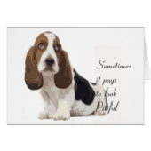 Basset Hound (Front Horizontal)