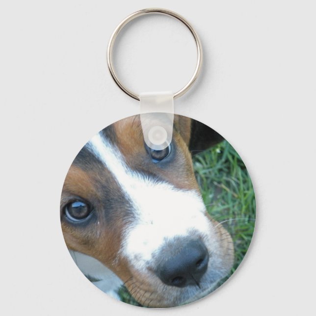 Basset Hound 02 Keychain (Front)