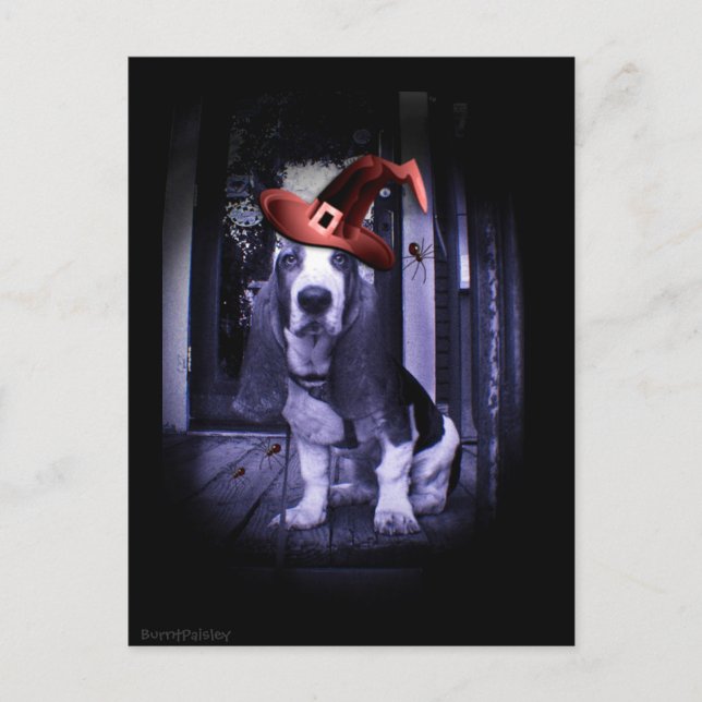 Basset Hound 2010 Howloween Postcard (Front)