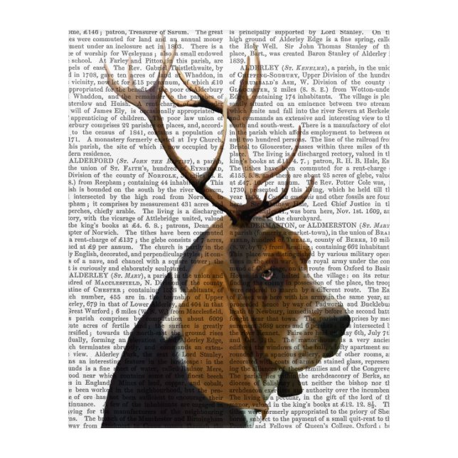 Basset Hound and Antlers Acrylic Print (Front)