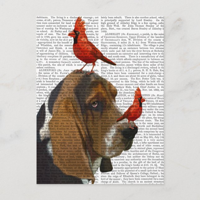 Basset Hound and Birds Postcard (Front)