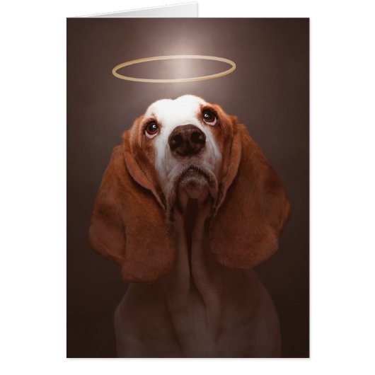 Basset Hound Angel (Front)