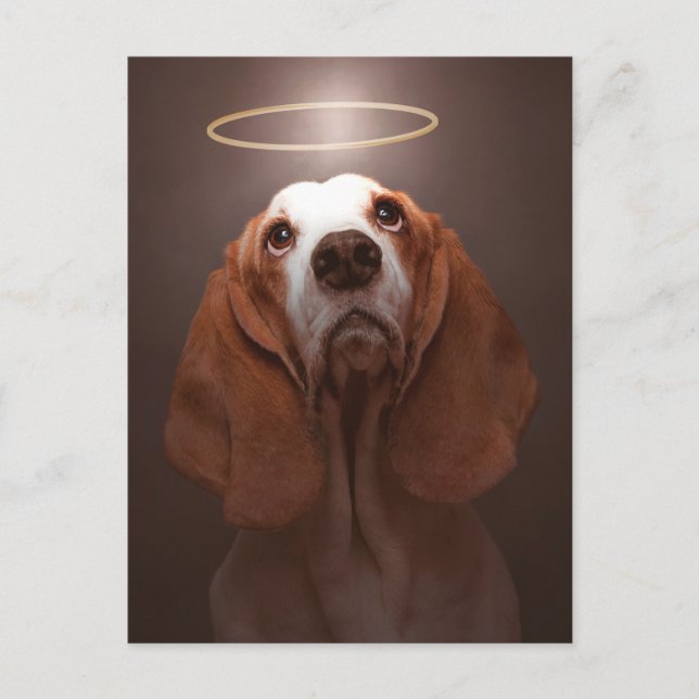 Basset Hound Angel Postcard (Front)
