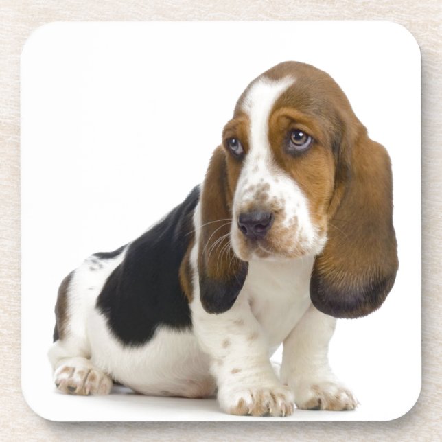 Basset Hound Beverage Coaster (Front)