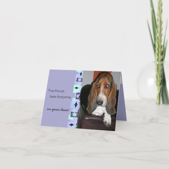 Basset Hound Birthday Greeting Card