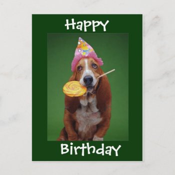 Basset Hound Birthday Lollipop Postcard by stargiftshop at Zazzle