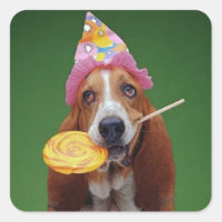 Basset Hound Birthday Lollipop