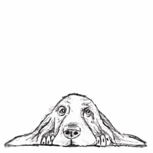 basset hound black white simple puppy dog eyes  cutout (Front)