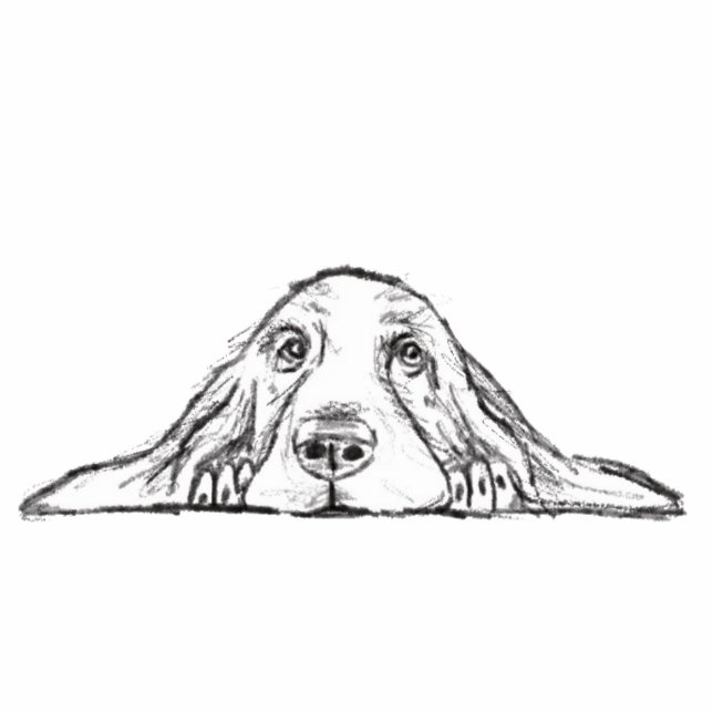 basset hound black white simple puppy dog eyes  cutout (Front)