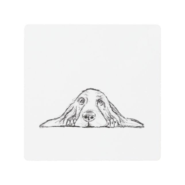 basset hound black white simple puppy dog eyes metal print (Front)