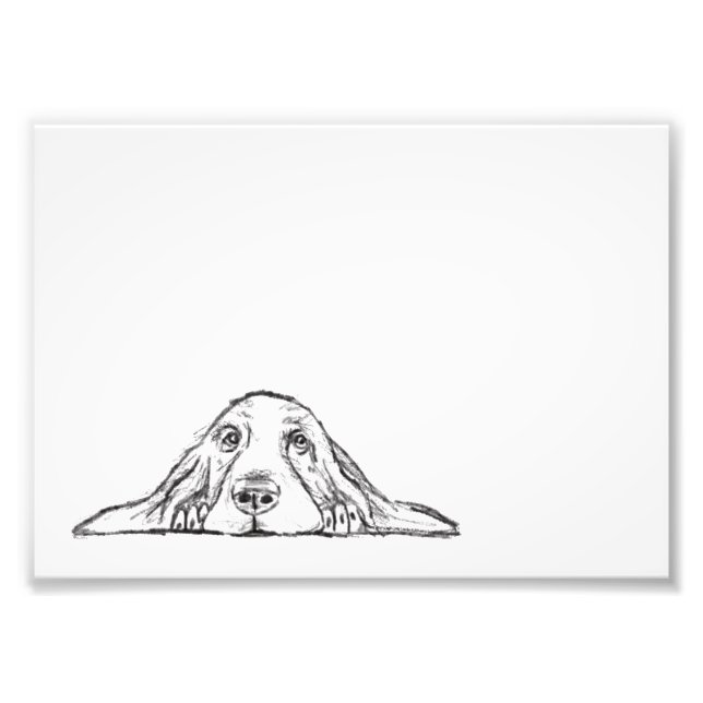 basset hound black white simple puppy dog eyes  photo print (Front)