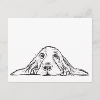 Basset Hound Black White Simple Puppy Dog Eyes  Postcard by CharmedPix at Zazzle