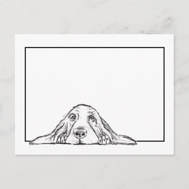 basset hound black white simple puppy dog eyes  postcard (Front)