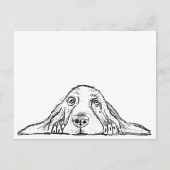 Basset Hound Black White Simple Puppy Dog Eyes  Postcard by CharmedPix at Zazzle