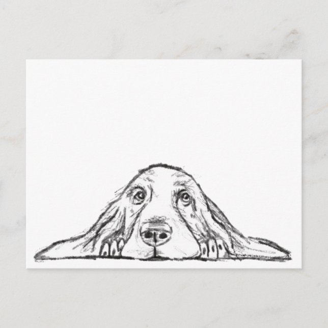 basset hound black white simple puppy dog eyes  postcard (Front)