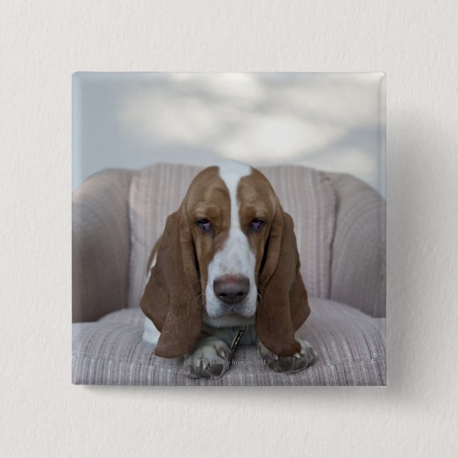 Basset Hound Button (Front)