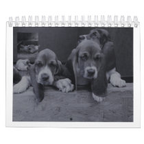 onedamdeer basset hounds