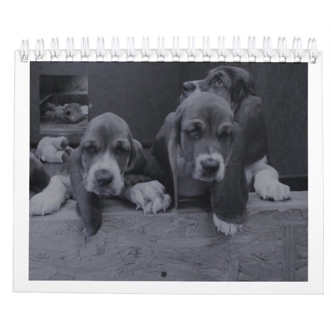 Basset hound calendar (Back)
