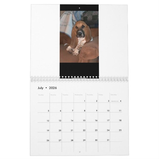 Basset Hound calendar (Jul 2026)