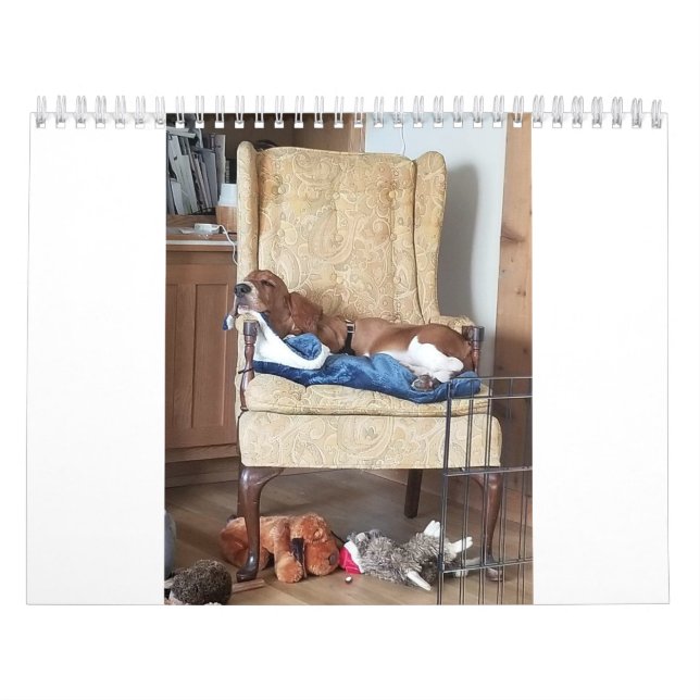 Basset hound calendar 24 months (Cover)
