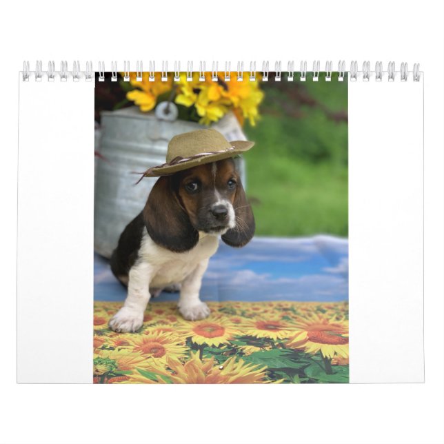 Basset hound calendar featuring Tiny E (Cover)