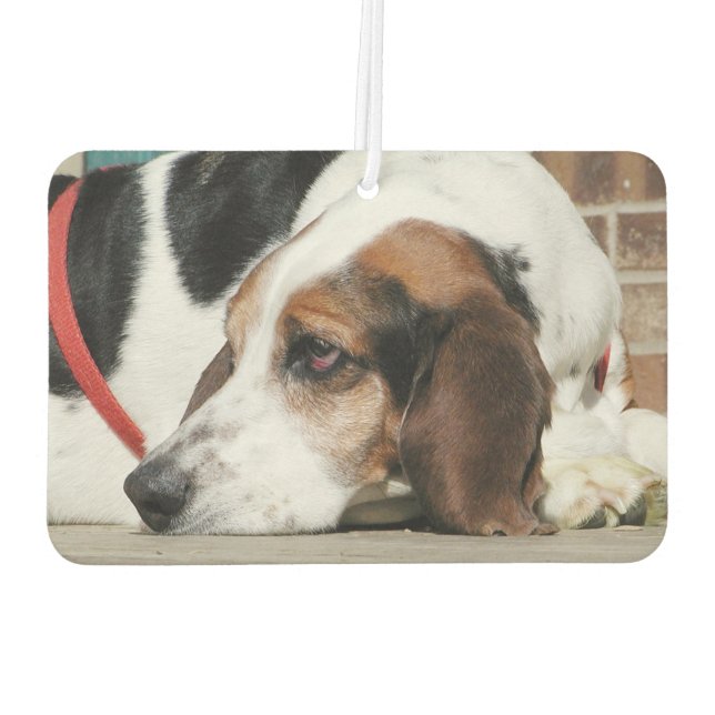 Basset Hound Car Air Freshener (Back)