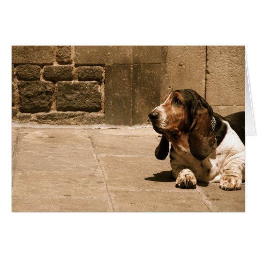 Basset Hound Cards (Front Horizontal)