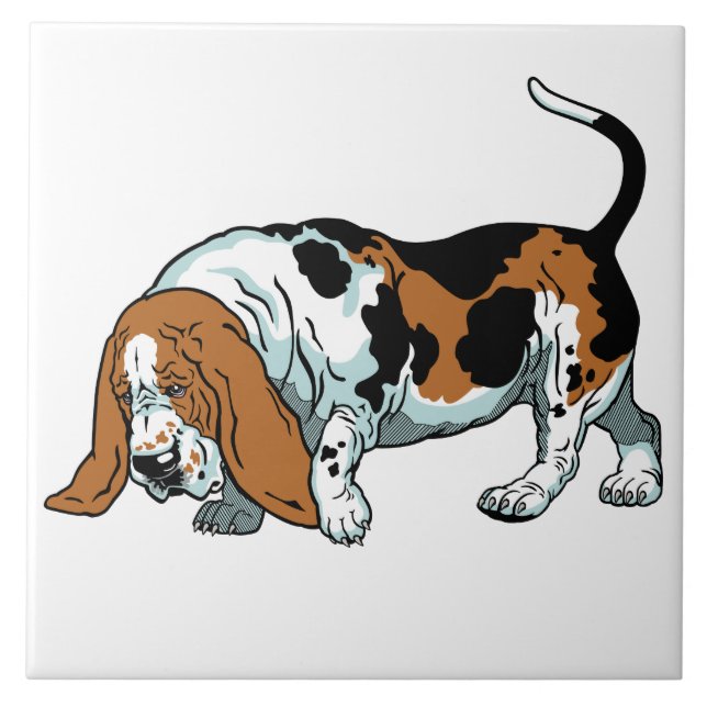 basset hound ceramic tile (Front)