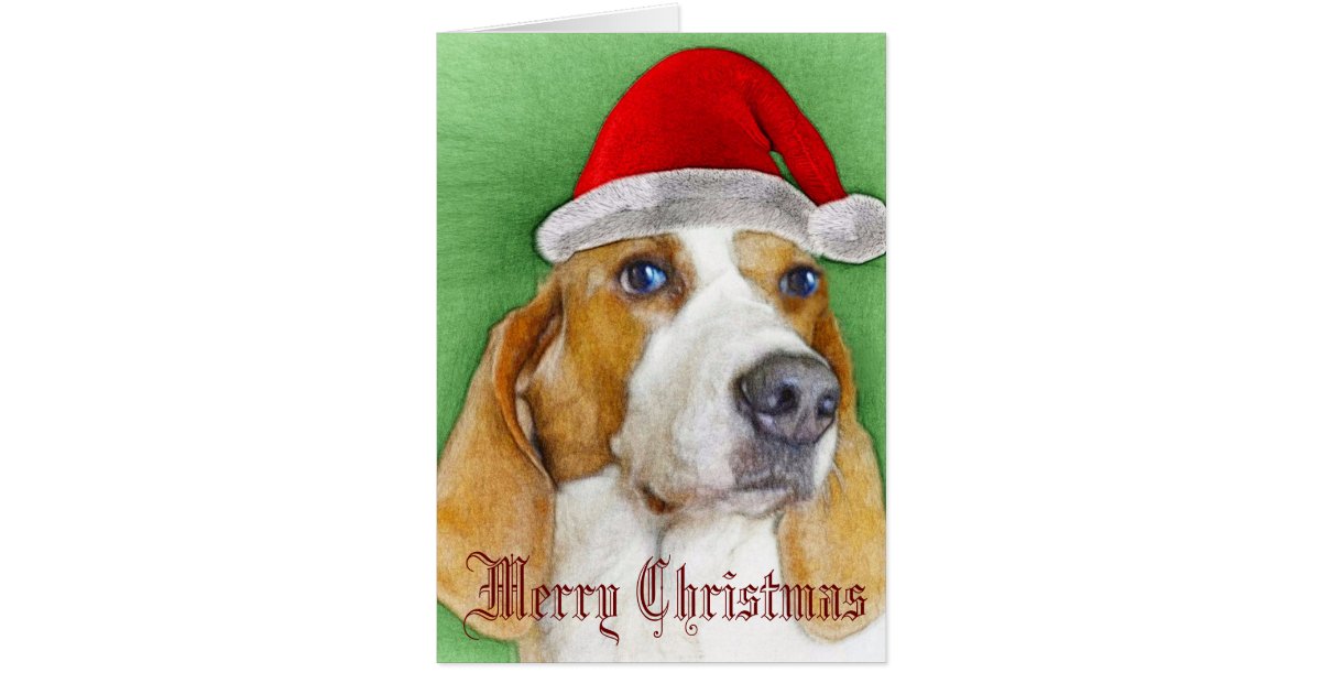 Basset hound christmas card | Zazzle