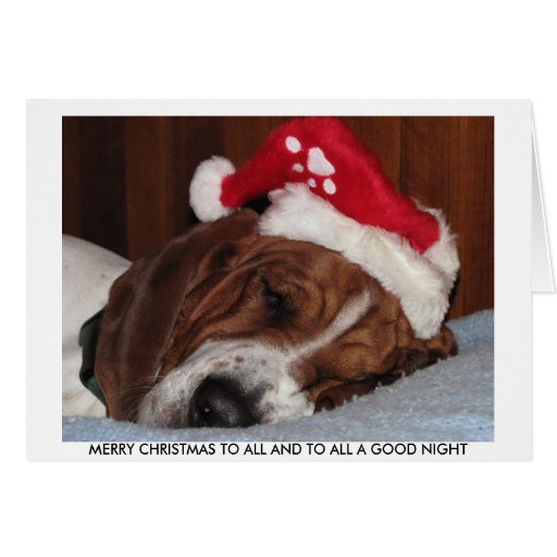 Basset Hound Christmas Card | Zazzle