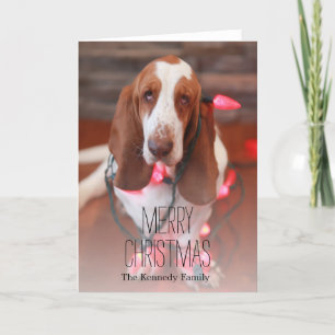 basset hound, christmas, christmas lights holiday card