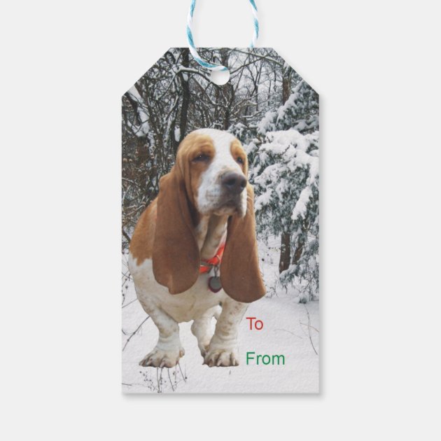 Basset Hound Christmas Gift Tags