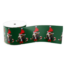 Basset Hound Christmas