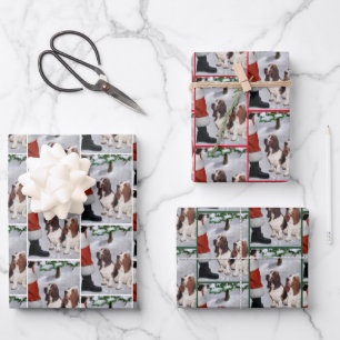 Basset Hound Christmas Wrapping Paper Sheets