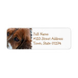 Basset Hound Design Mailing Label