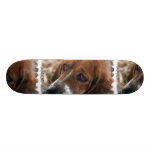 Basset Hound Design Skateboard Deck