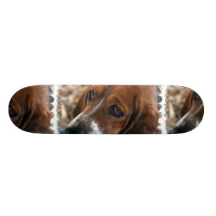 Basset Hound Design Skateboard Deck