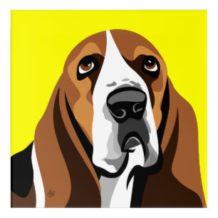 Basset Hound Dog Acrylic Print