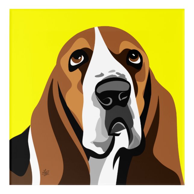 Basset Hound Dog Acrylic Print (Front)
