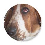 Basset Hound Dog Circular Magnet