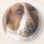 Basset Hound Dog Coasters<br><div class="desc">Basset hound dog coasters.</div>