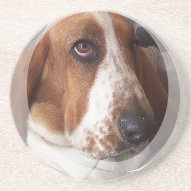 Basset Hound Dog Coasters (Front)